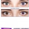Adria Color 1 tone  2 л