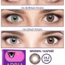 Adria Color 3 tone  2 л